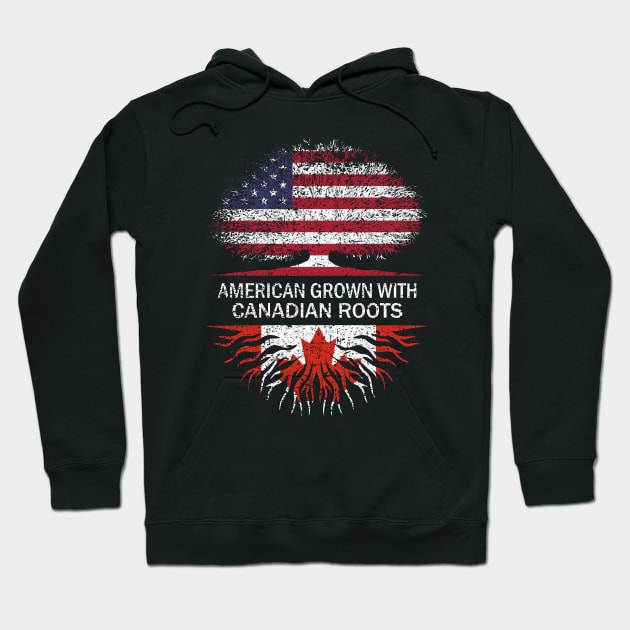 American Grown with Canadian Roots USA Flag Hoodie by silvercoin